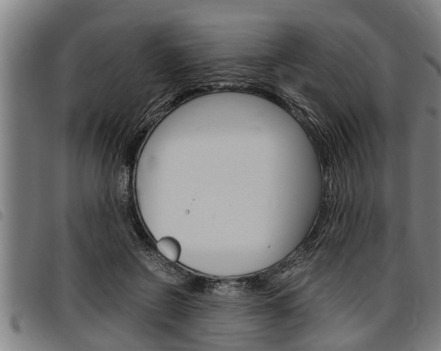 X0000097500550200802220844