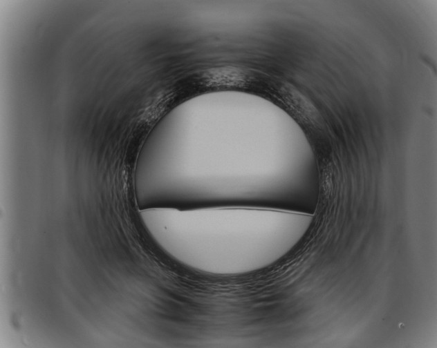 X0000097500551200802220844