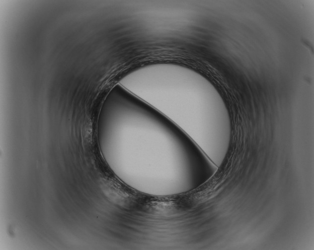X0000097500552200802220844