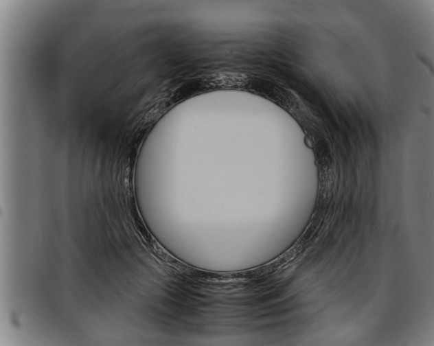X0000097500553200802220844