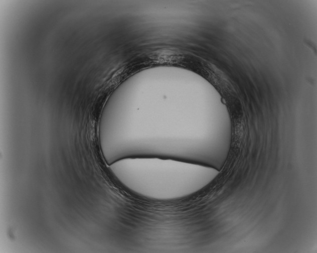 X0000097500554200802220844