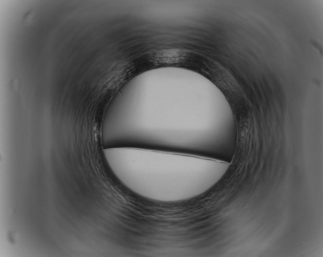 X0000097500555200802220844
