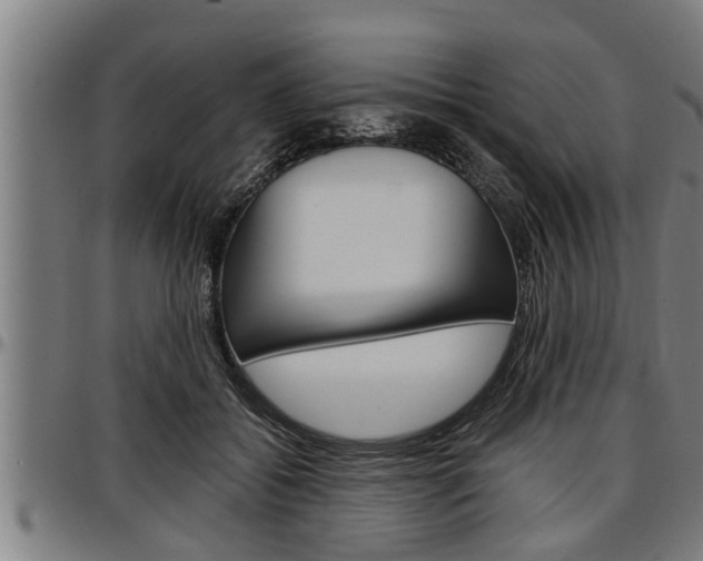 X0000097500556200802220844