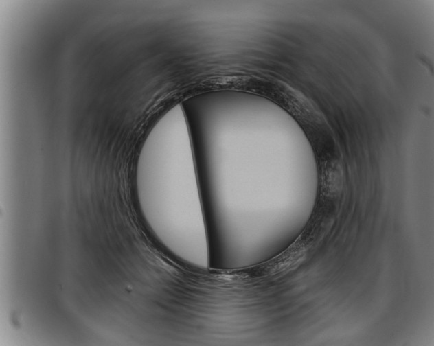 X0000097500558200802220845
