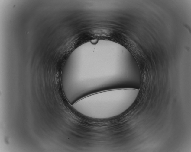 X0000097500559200802220845