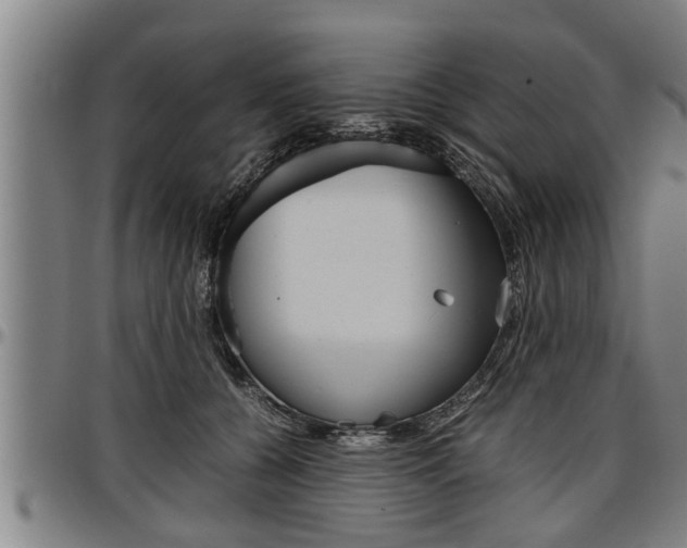 X0000097500560200802220845