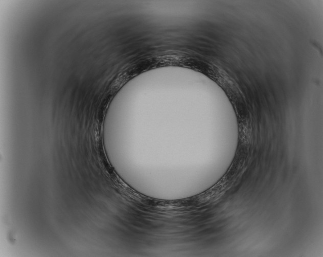 X0000097500561200802220845