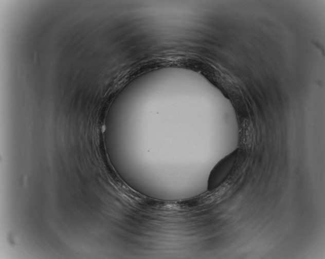 X0000097500562200802220845