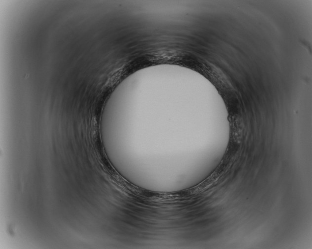 X0000097500563200802220845