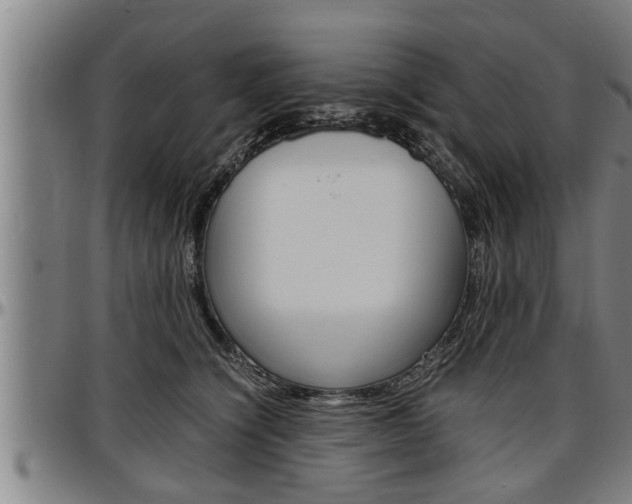 X0000097500564200802220845