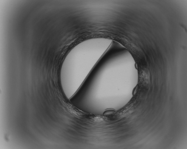 X0000097500566200802220845