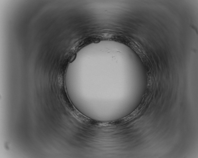 X0000097500568200802220845