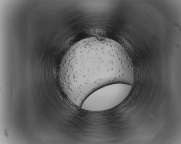 X0000097500569200802220845