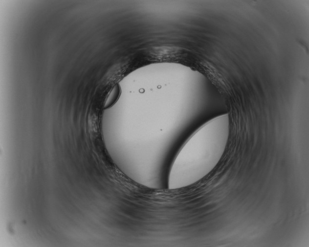 X0000097500571200802220845