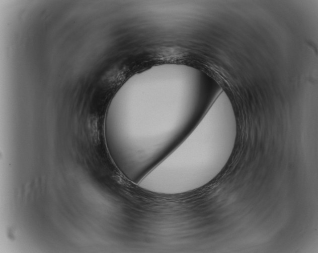 X0000097500572200802220845