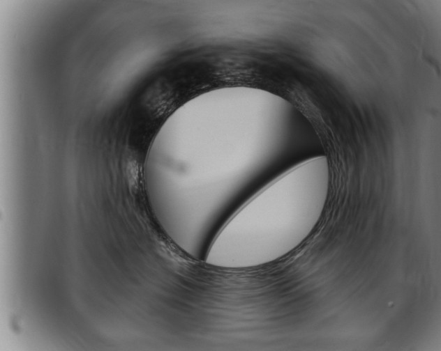 X0000097500574200802220845