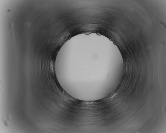 X0000097500575200802220845