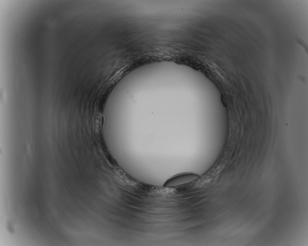 X0000097500576200802220845