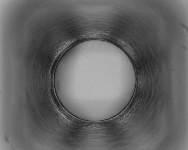 X0000097500578200802220844