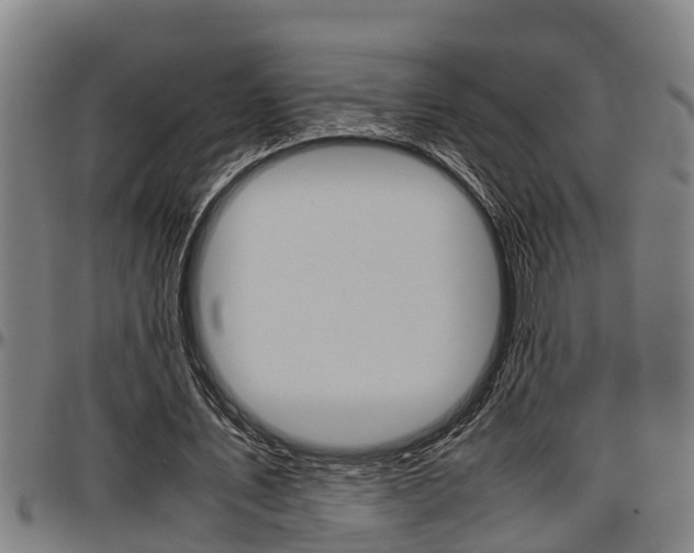 X0000097500579200802220844