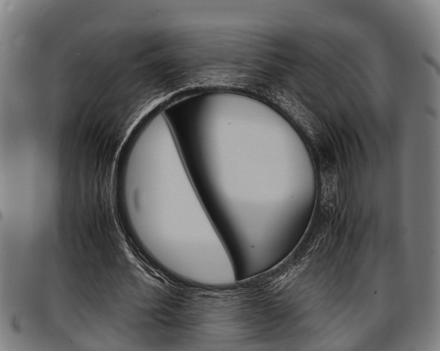 X0000097500580200802220844