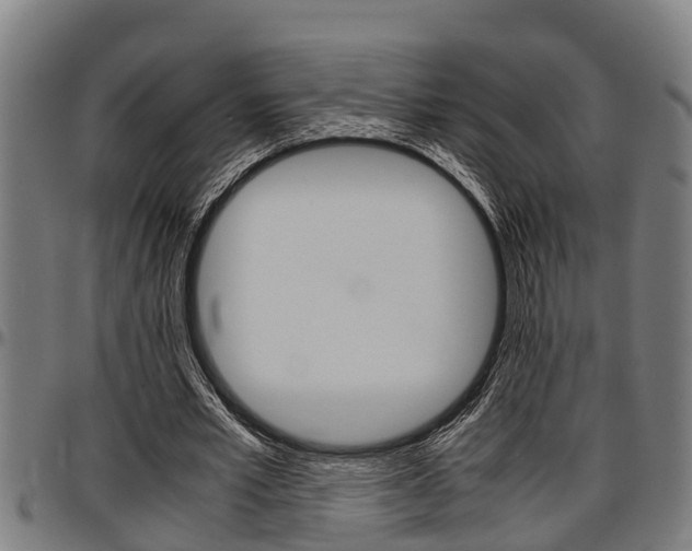 X0000097500581200802220844