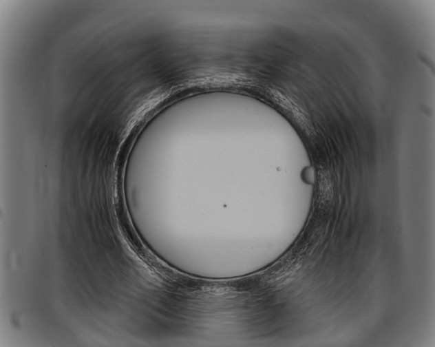 X0000097500582200802220844