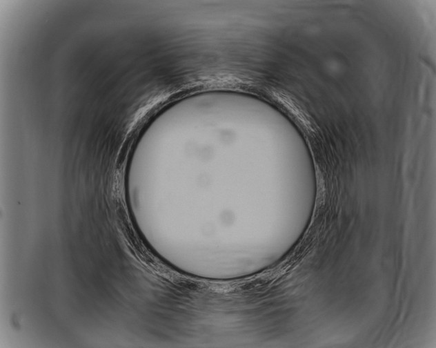 X0000097500583200802220844