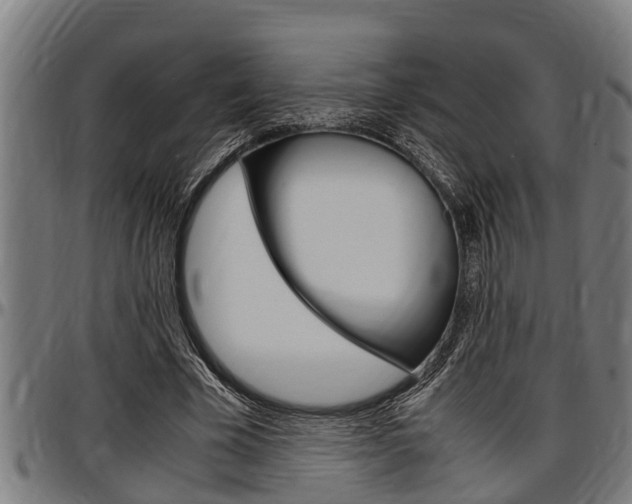 X0000097500585200802220844