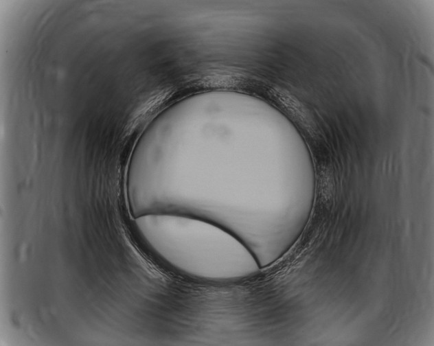X0000097500586200802220844