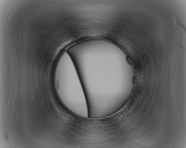 X0000097500587200802220844