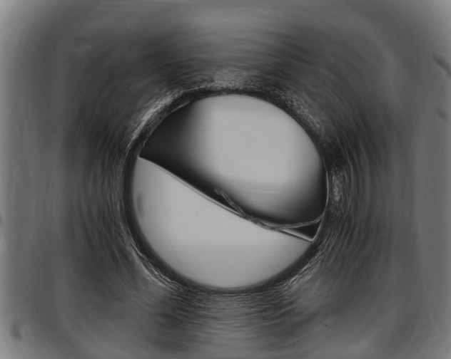 X0000097500588200802220844