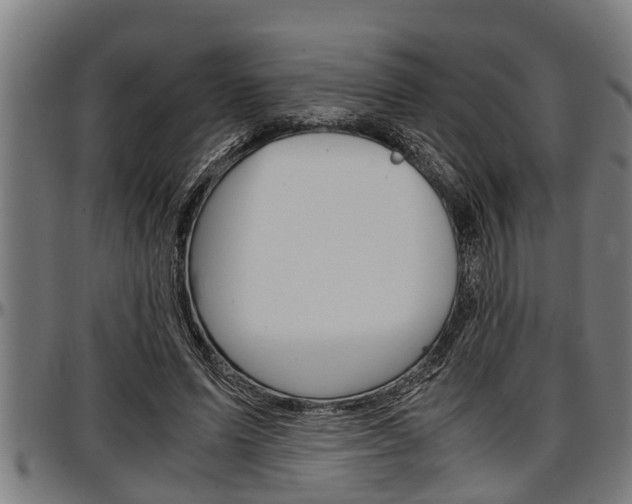 X0000097500591200802220844