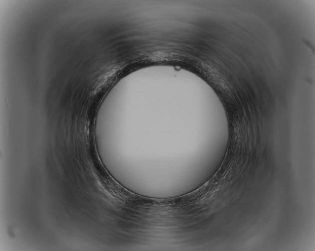 X0000097500592200802220844