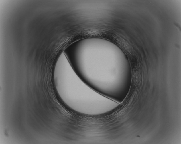 X0000097500593200802220844