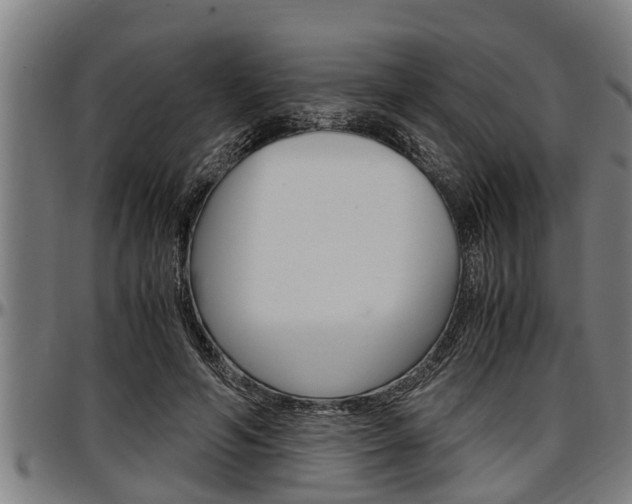 X0000097500594200802220844