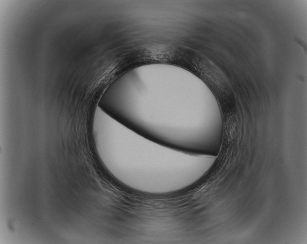 X0000097500595200802220844