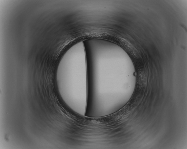 X0000097500596200802220844