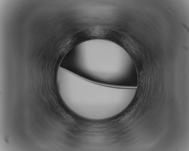 X0000097500597200802220843