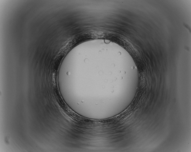 X0000097500598200802220843