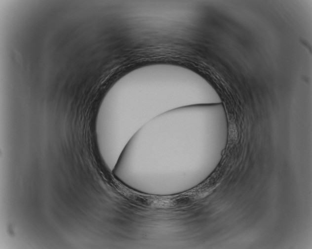 X0000097500599200802220843