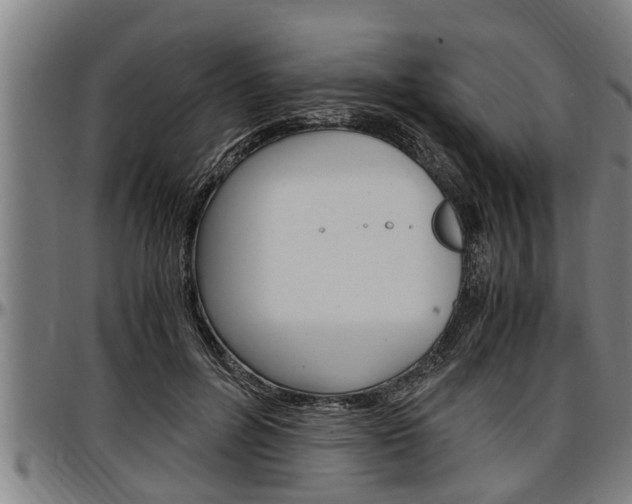 X0000097500600200802220843