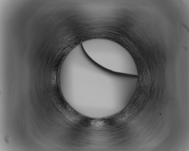 X0000097500602200802220843
