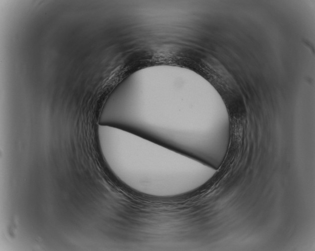 X0000097500603200802220843