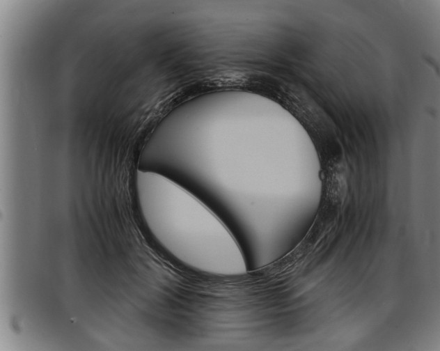 X0000097500604200802220843