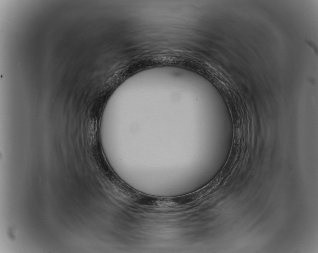 X0000097500605200802220843