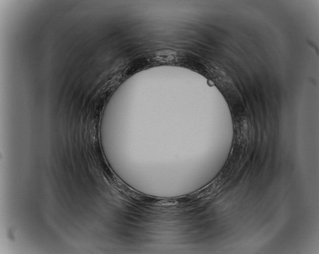 X0000097500606200802220843