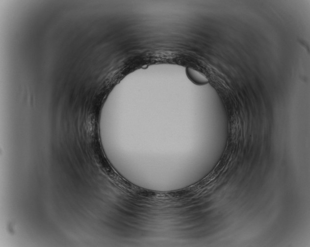 X0000097500608200802220843
