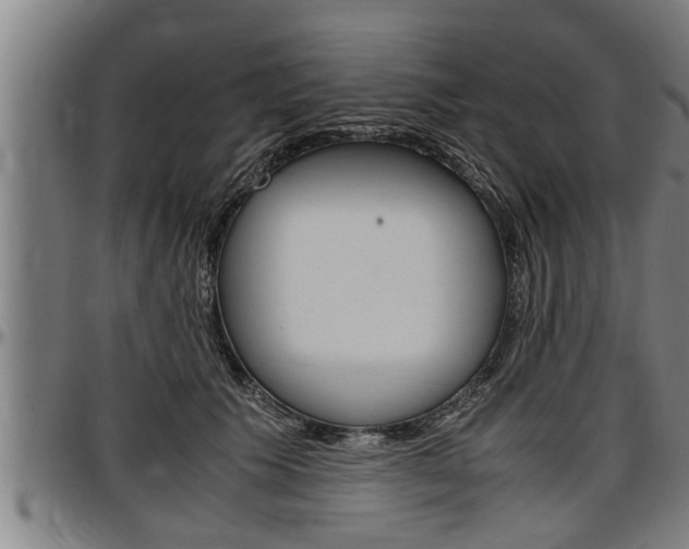 X0000097500609200802220843