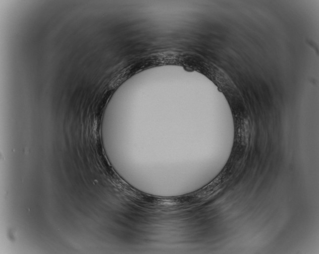 X0000097500610200802220843